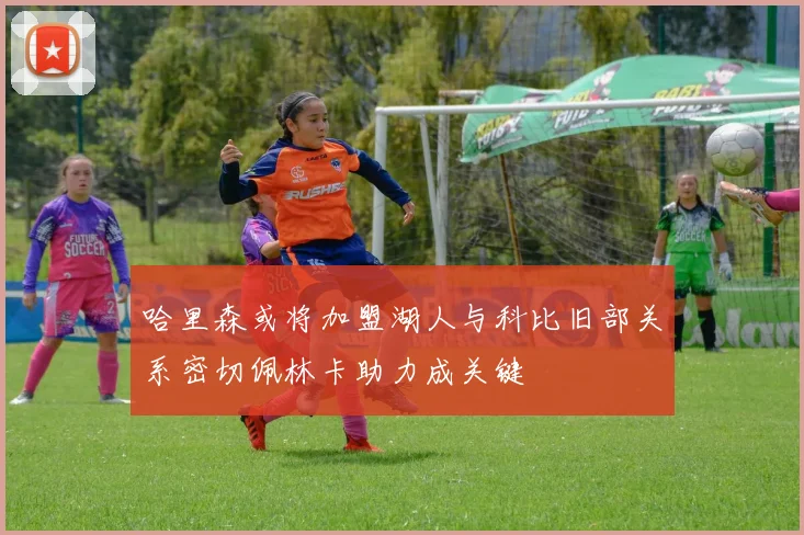 哈里森或将加盟湖人与科比旧部关系密切佩林卡助力成关键