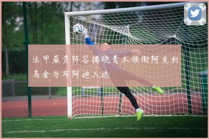 法甲最贵阵容揭晓青木领衔阿克利乌舍与布阿迪入选