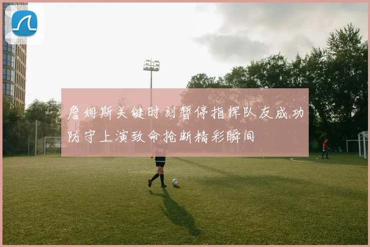 詹姆斯关键时刻暂停指挥队友成功防守上演致命抢断精彩瞬间