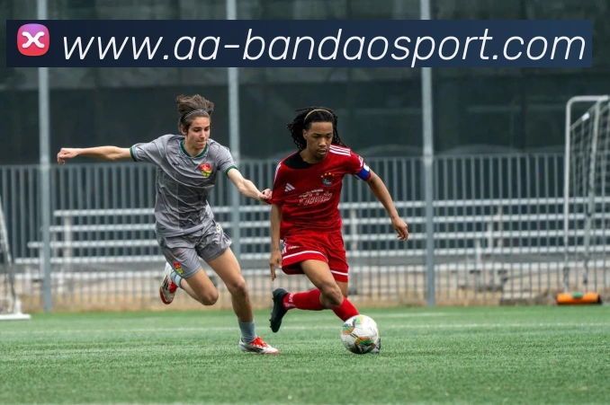 半岛足球体育APP 高清赛事图