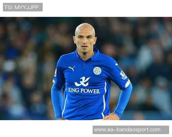 坎比亚索谈客战博德体能挑战与人造草皮适应问题