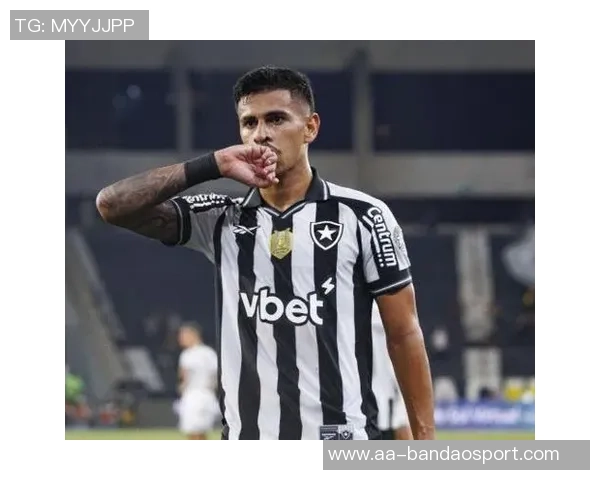 斯基拉透露都灵有意签下博塔弗戈23岁中卫大卫里卡多 斯基拉透露都灵有意签下博塔弗戈23岁中卫大卫里卡多